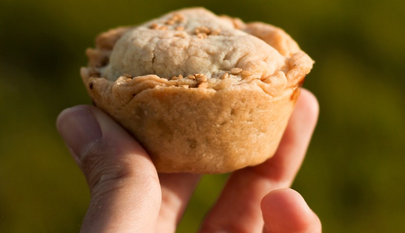 torta per gatti vegetariana