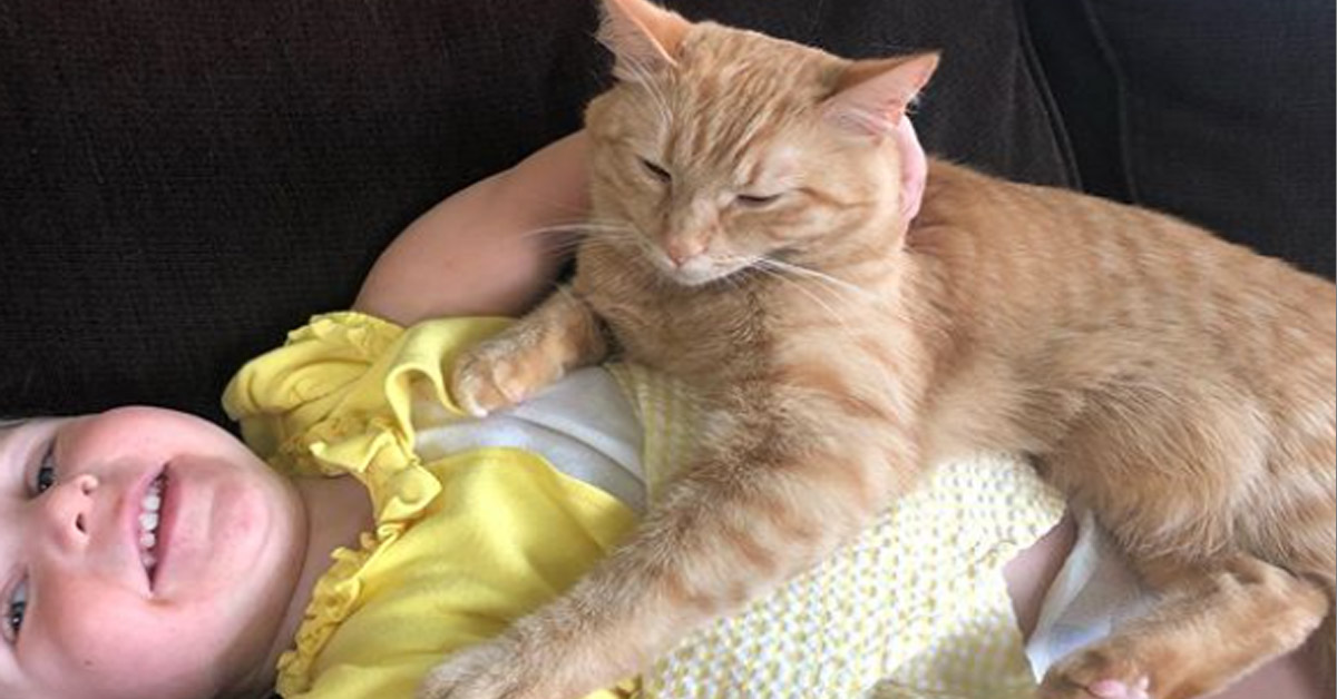 Carrot, il gattino migliore amico di una bambina che è una star del web (video)