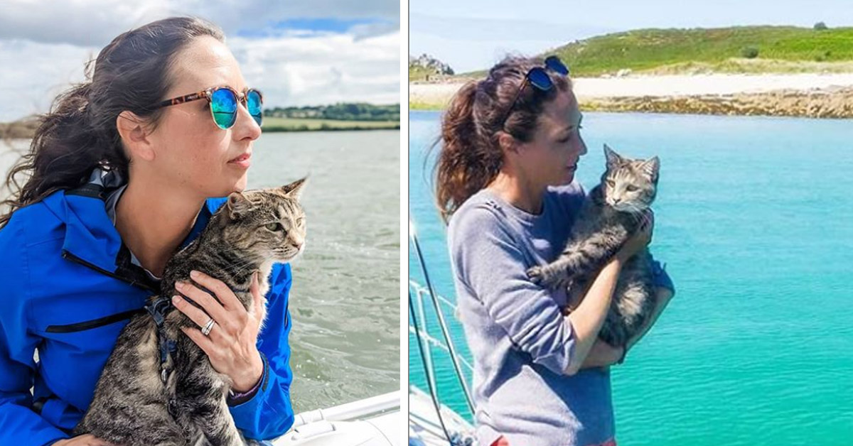 George, il gattino che gira il mondo su una barca a vela insieme ai suoi proprietari