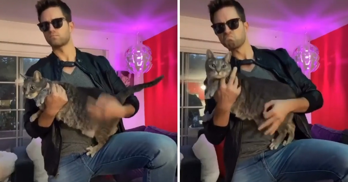 Il gattino si “trasforma” in una chitarra e il video della performance diventa virale