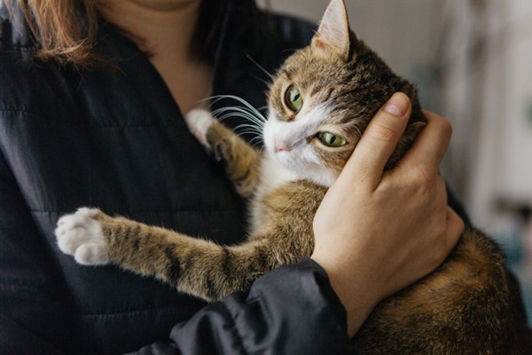 ragazza che abbraccia il suo gatto