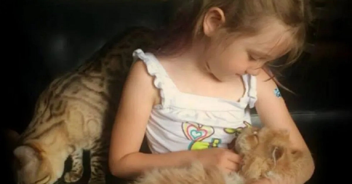 Brooklyn, la bambina che ha guarito il suo gattino dal soffio al cuore (VIDEO)