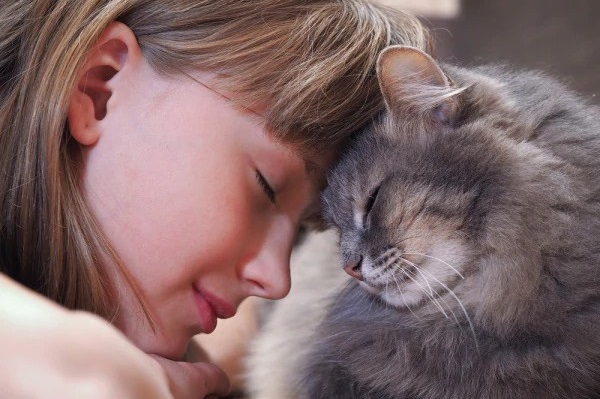 bimba e gatto fronte contro fronte