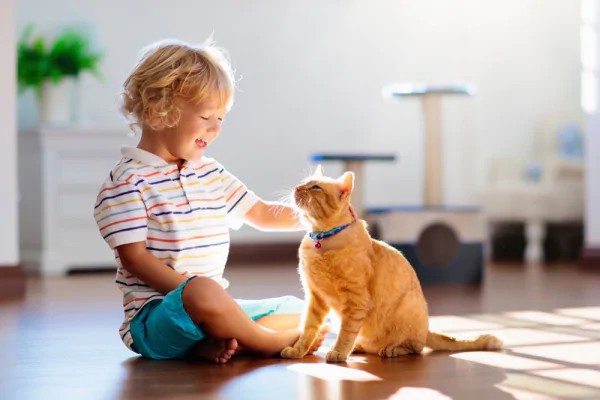 bambino per terra con gatto