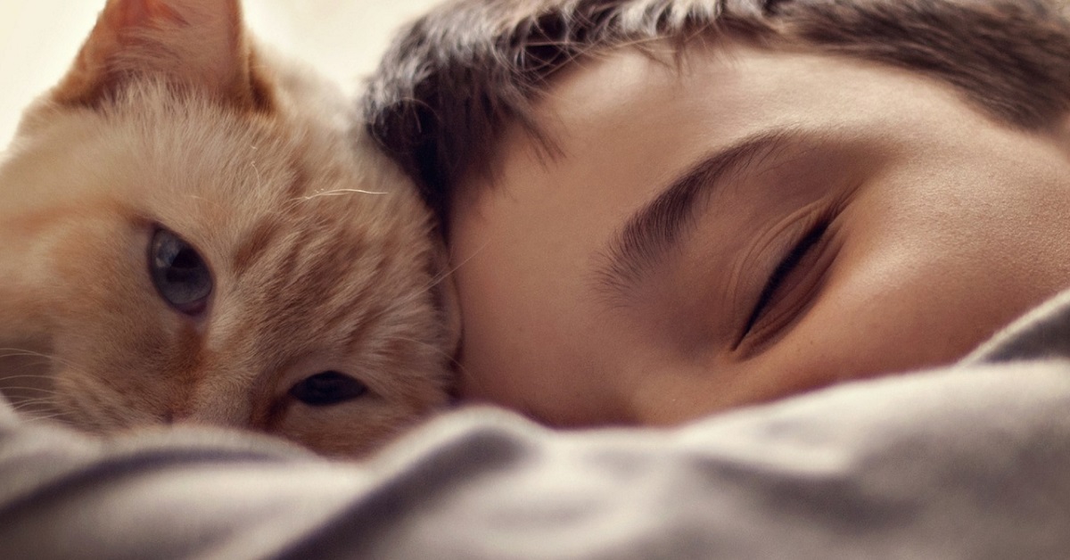 Crescere insieme al gatto: perché i bambini possono trarne solo beneficio