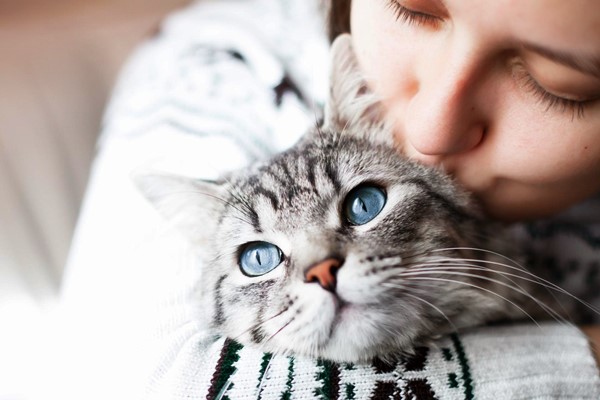 ragazza che bacia il suo gatto