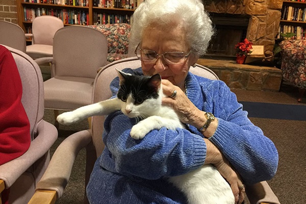 nonna con gatto