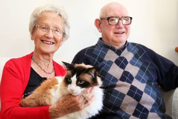 Gatti e anziani, consigli per farli covivere bene e in sicurezza