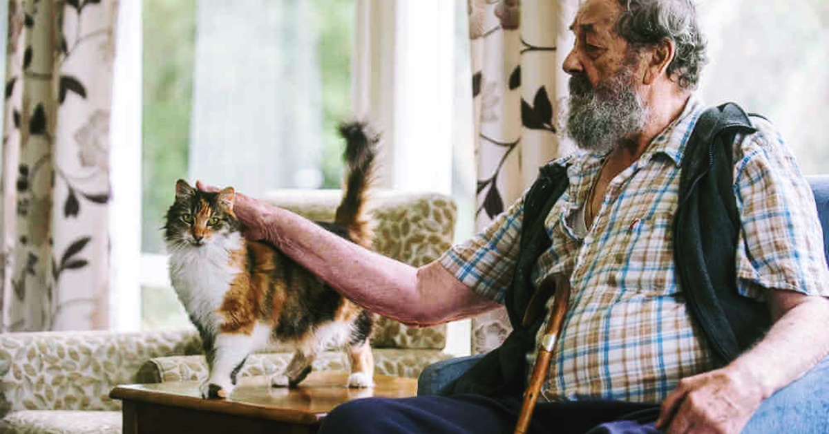 Gatti e anziani, consigli per riuscire a farli convivere tranquillamente e in sicurezza