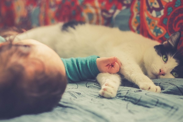 gatto dorme con il neonato