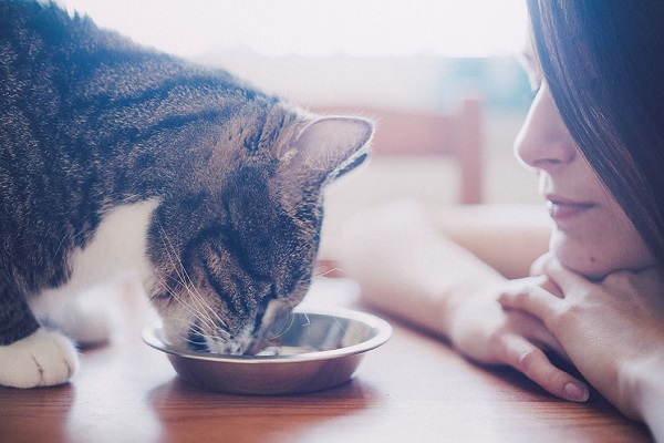 donna osserva un gatto che mangia