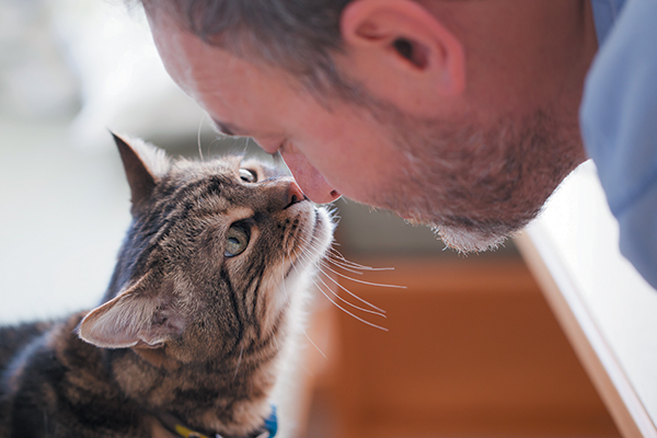 gatto annusa la faccia di un uomo