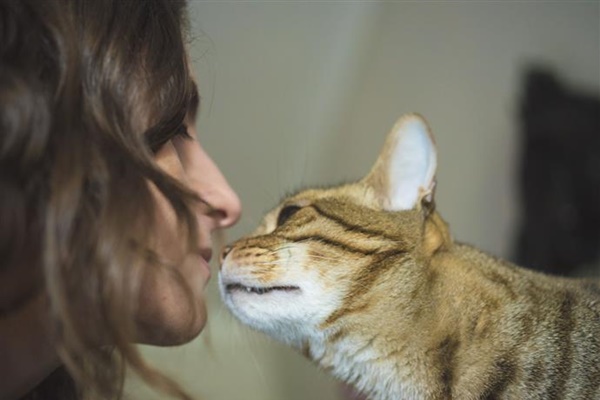 ragazza che fa le coccole al gatto