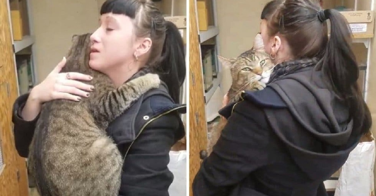 Il gattino Clutch fa commuovere una ragazza con un gesto bellissimo (VIDEO)