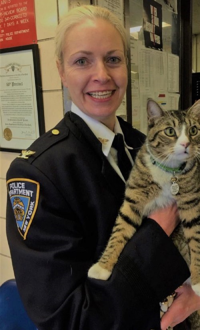 polizia gattino foto