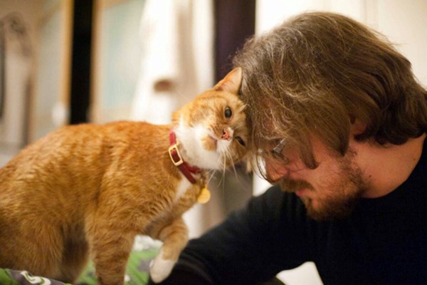 gatto che strofina la testa sul padrone