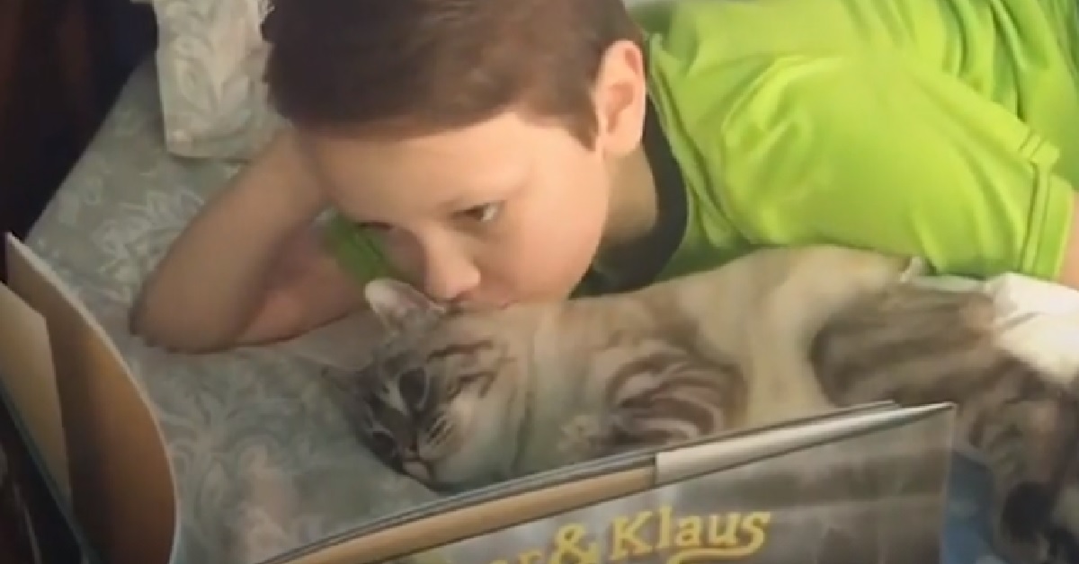 Roo, il gattino paralizzato salvato da un ragazzino di 11 anni (VIDEO)