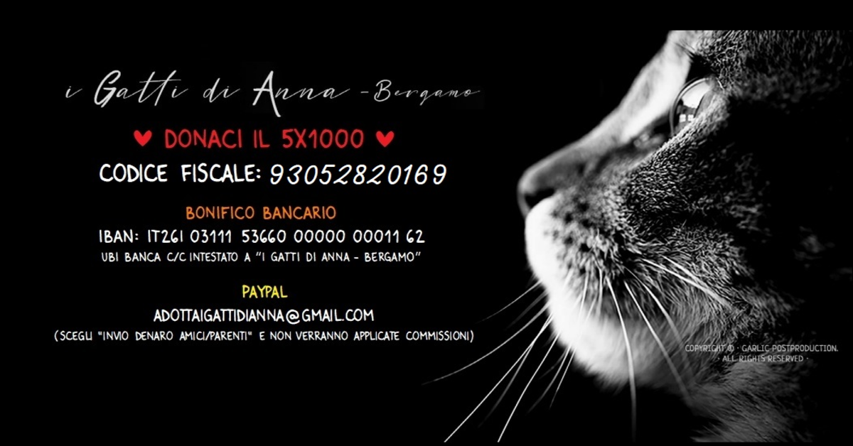 I Gatti di Anna Onlus