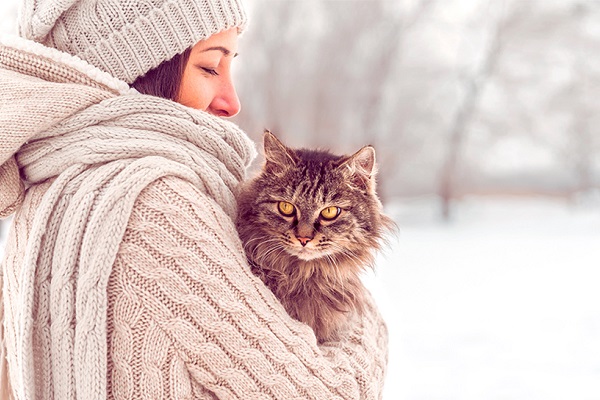 gatto e ragazza sulla neve