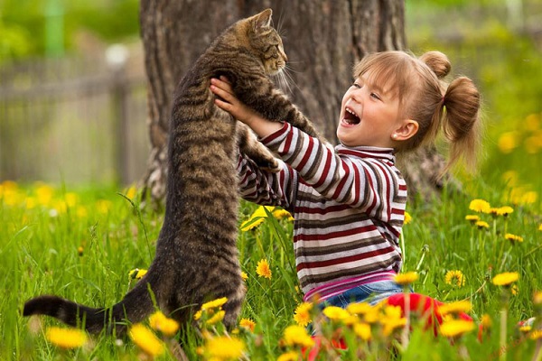 gatto e bimba in un campo