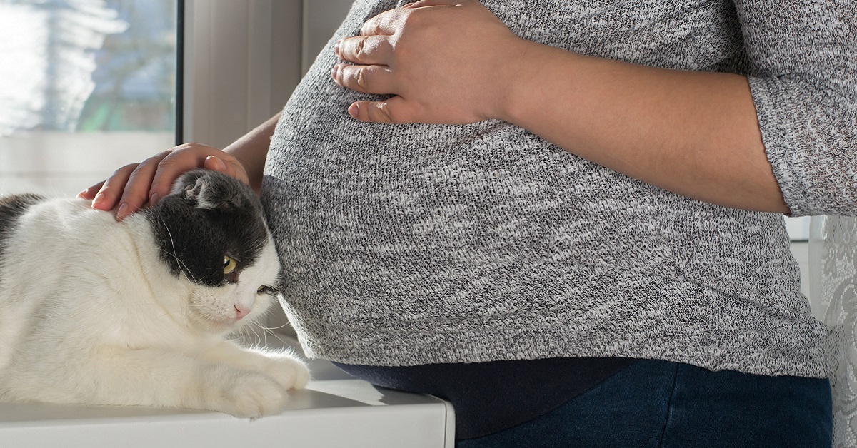 gatto e gravidanza umana