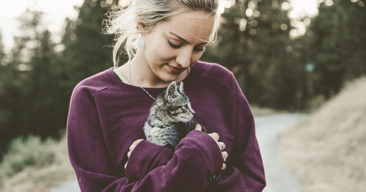 il gattino vuole più attenzioni