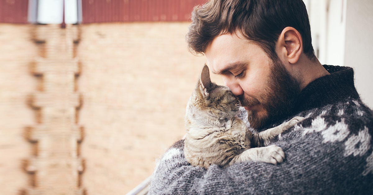 Migliorare il rapporto con il proprio gatto: tutti i modi in cui farlo per una sintonia perfetta
