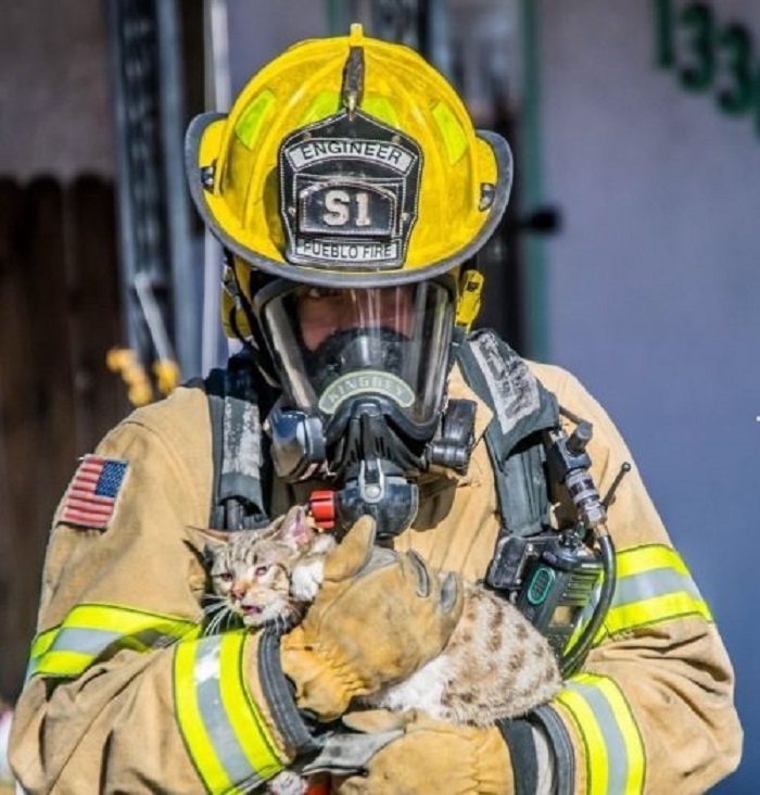 gattino protezione civile