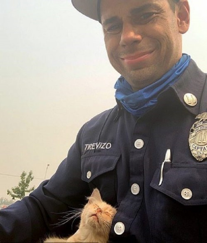 pompiere salvataggio gattino