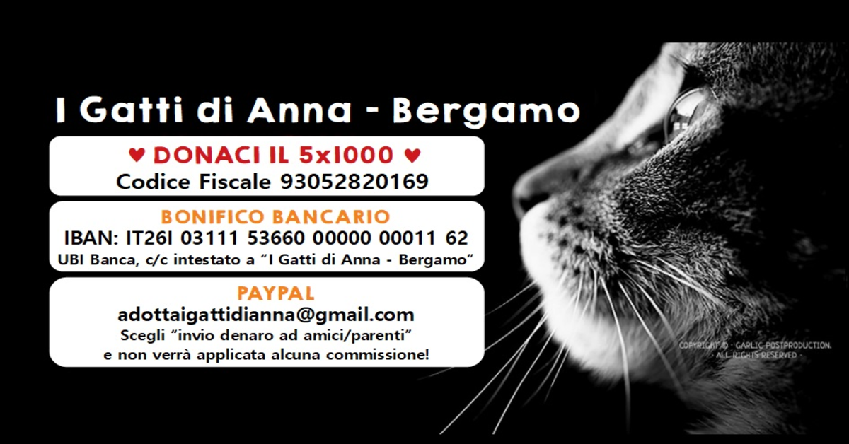 I Gatti di Anna Onlus