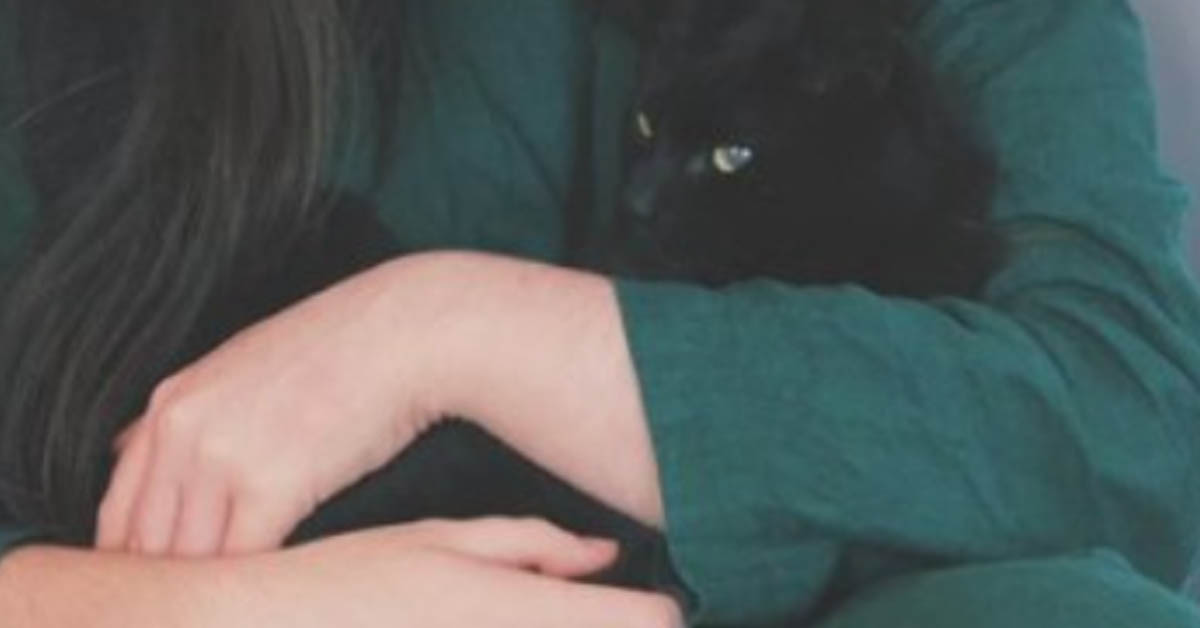 Gatto nero in braccio alla proprietaria