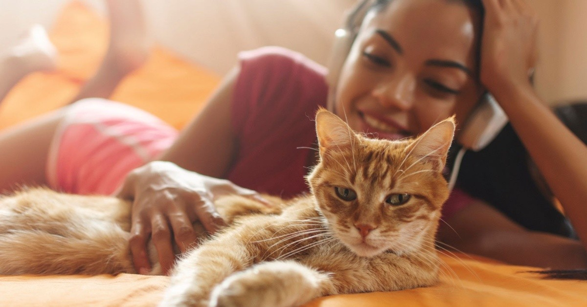 Il gattino che ha imparato a “parlare” ma solo dice parolacce ai suoi padroni (VIDEO)