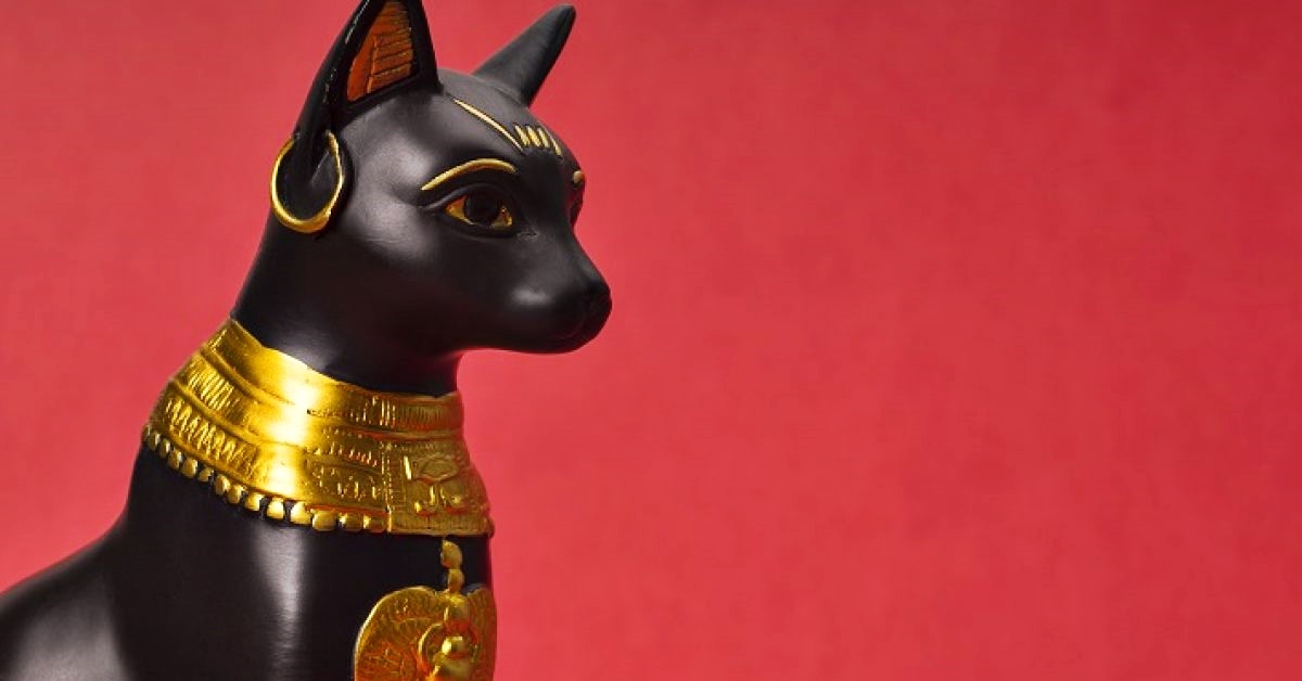 Gatti e divinità: in quali culture viene o veniva venerato Micio?
