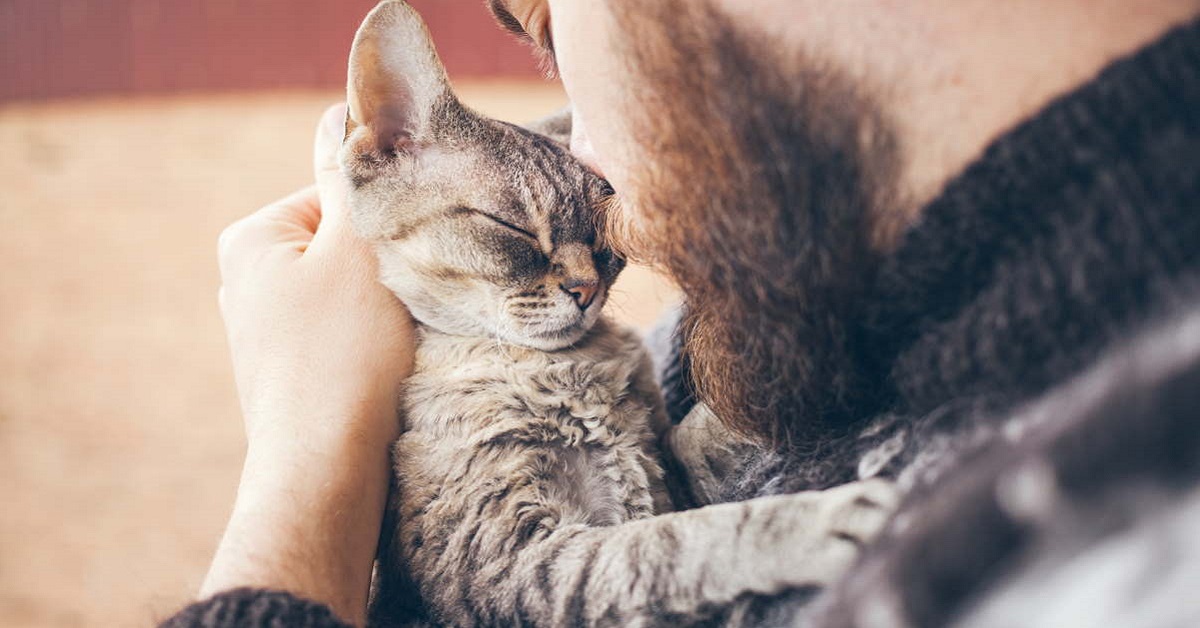 gatto in braccio a ragazzo