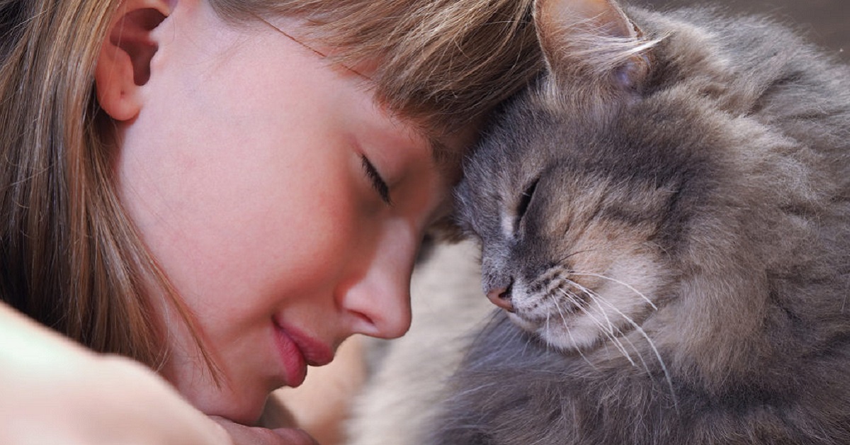 gatto e bambina testa a testa