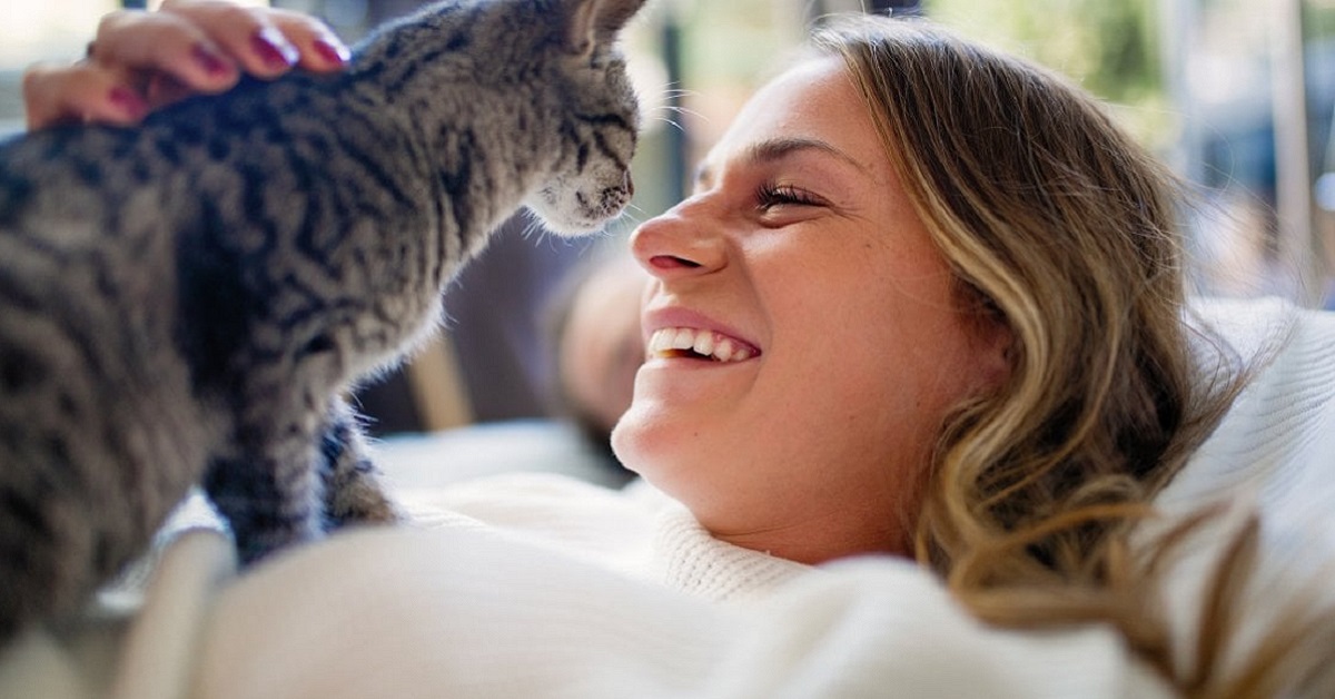 I gatti riescono a distinguere le espressioni umane oppure no?