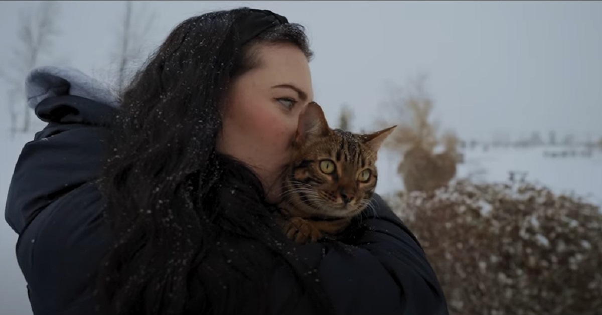 Kona, la gattina del Bengala per la prima volta sulla neve (VIDEO)