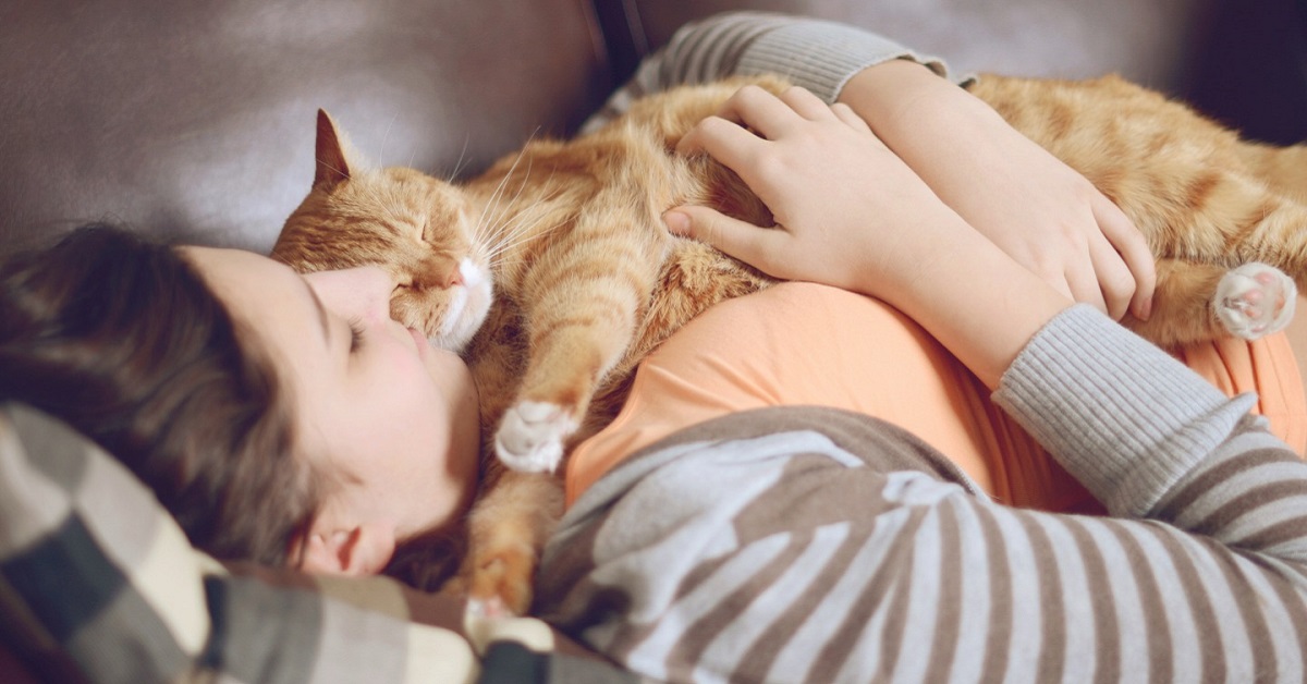 Gattino dorme sempre abbracciato a noi: che cosa vuole dirci?