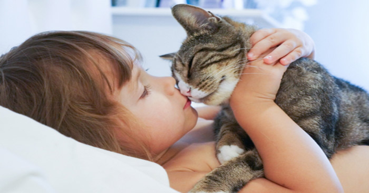 Una bambina si improvvisa maestra dei suoi adorabili gattini (VIDEO)