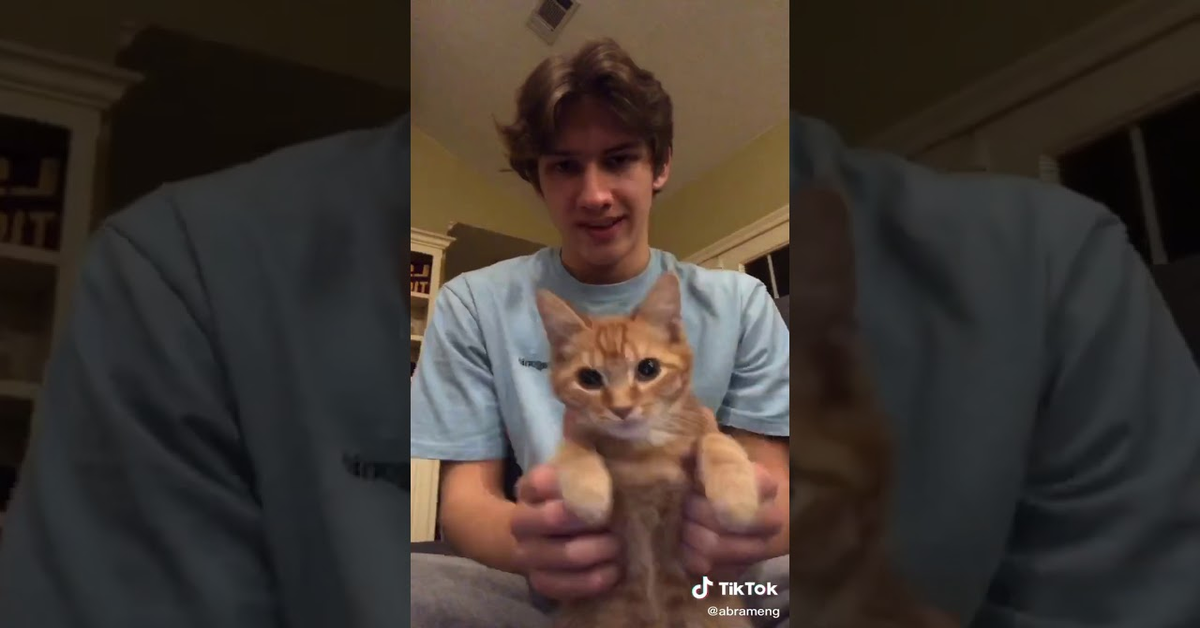 Il gattino Kurt che balla insieme al padrone ed è diventato una star di TikTok (VIDEO)