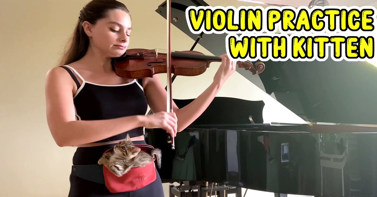ragazza suona il violino con gattina nel marsupio