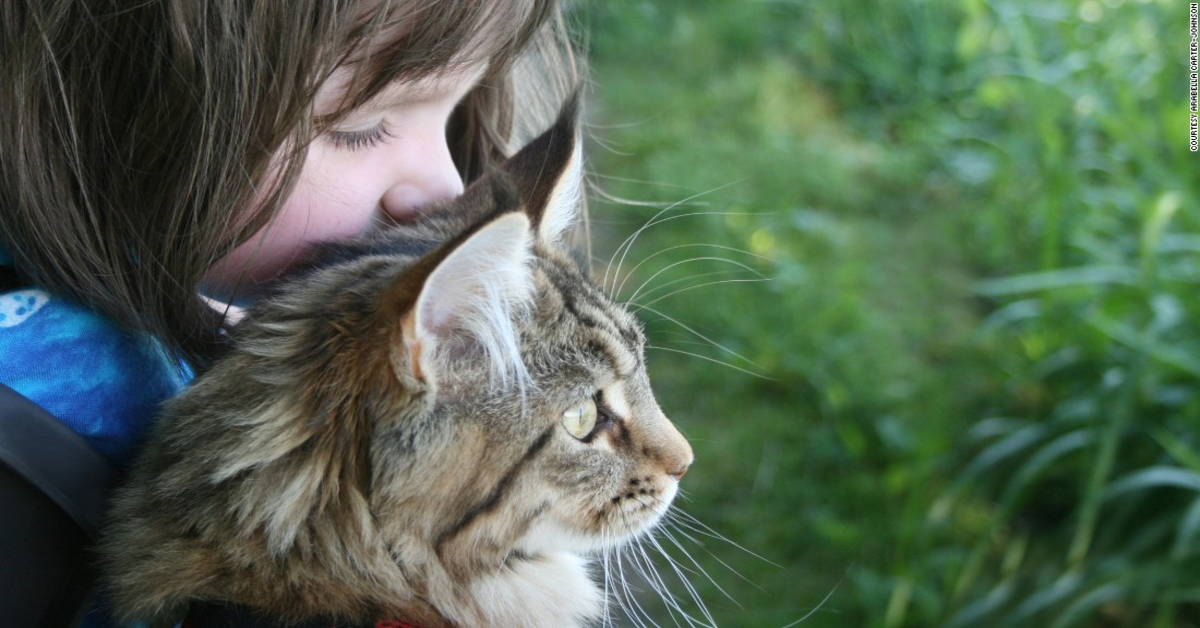 Thula, la gattina Maine Coon  che vive in simbiosi con Iris, un bimba autistica pittrice ( VIDEO)