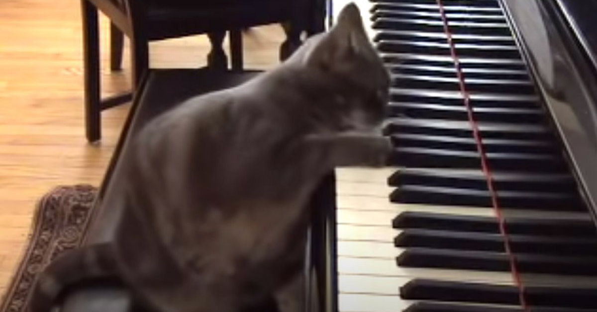 Nora suona il pianoforte