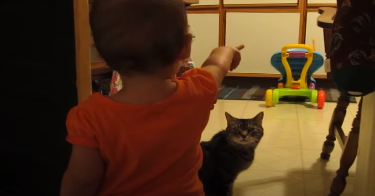 video dialogo gattino soriano bambina