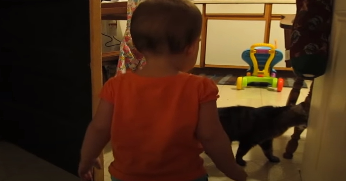 video dialogo gattino soriano bambina