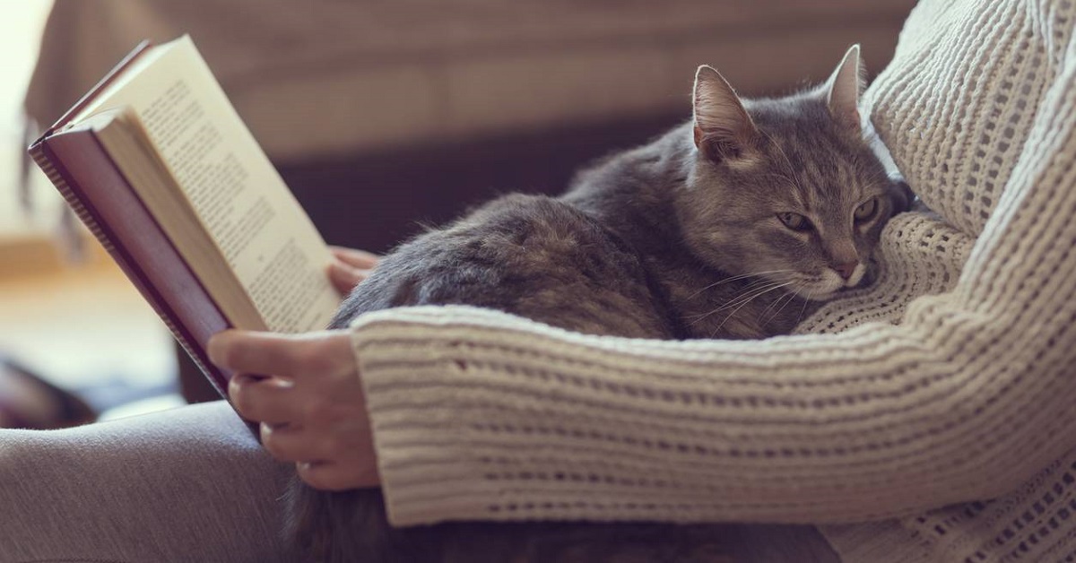 gatto, libro e padrona