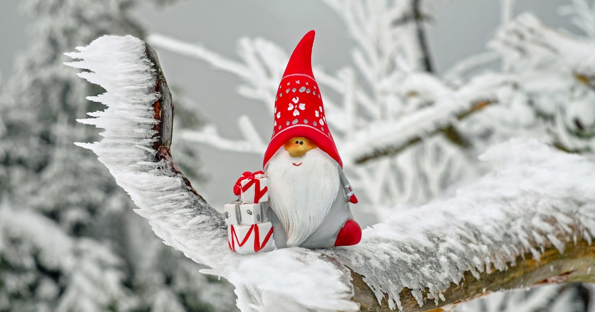 gattini babbo natale foto e video