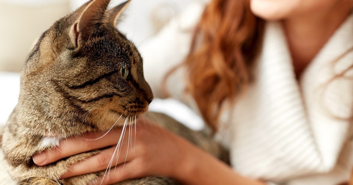 gatto con la padrona