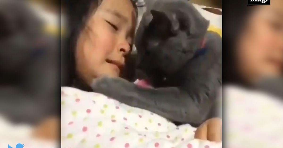 gattino abbraccia bimba che piange