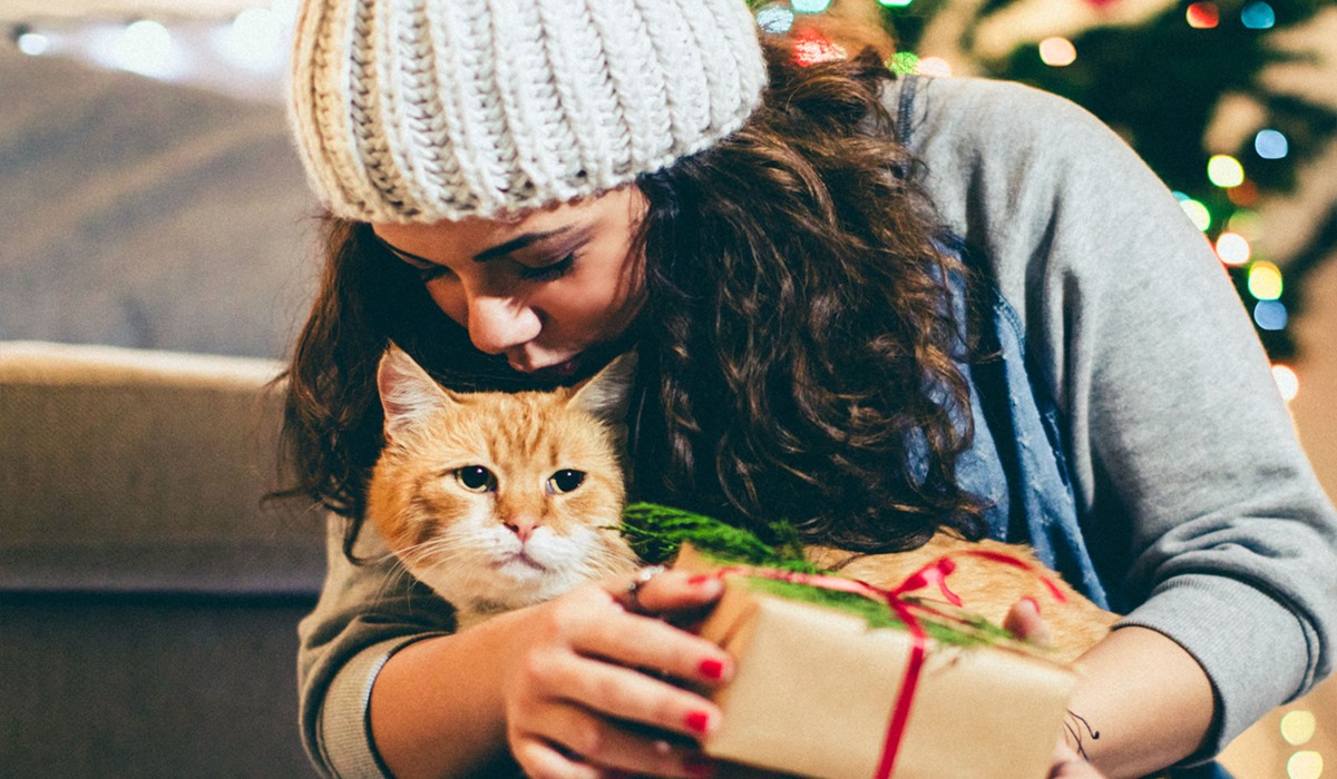 regalo di natale per il micio